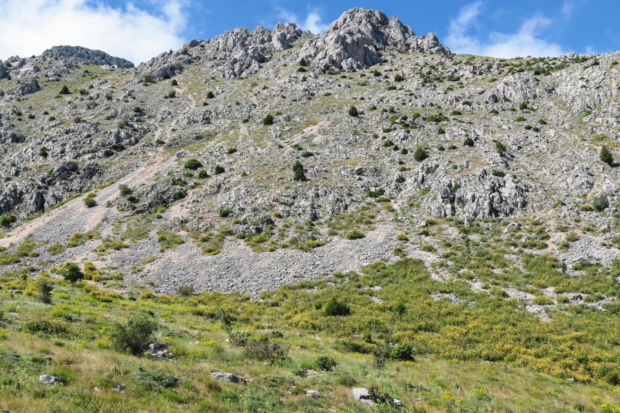 3 Days Mount Elgon national park tour