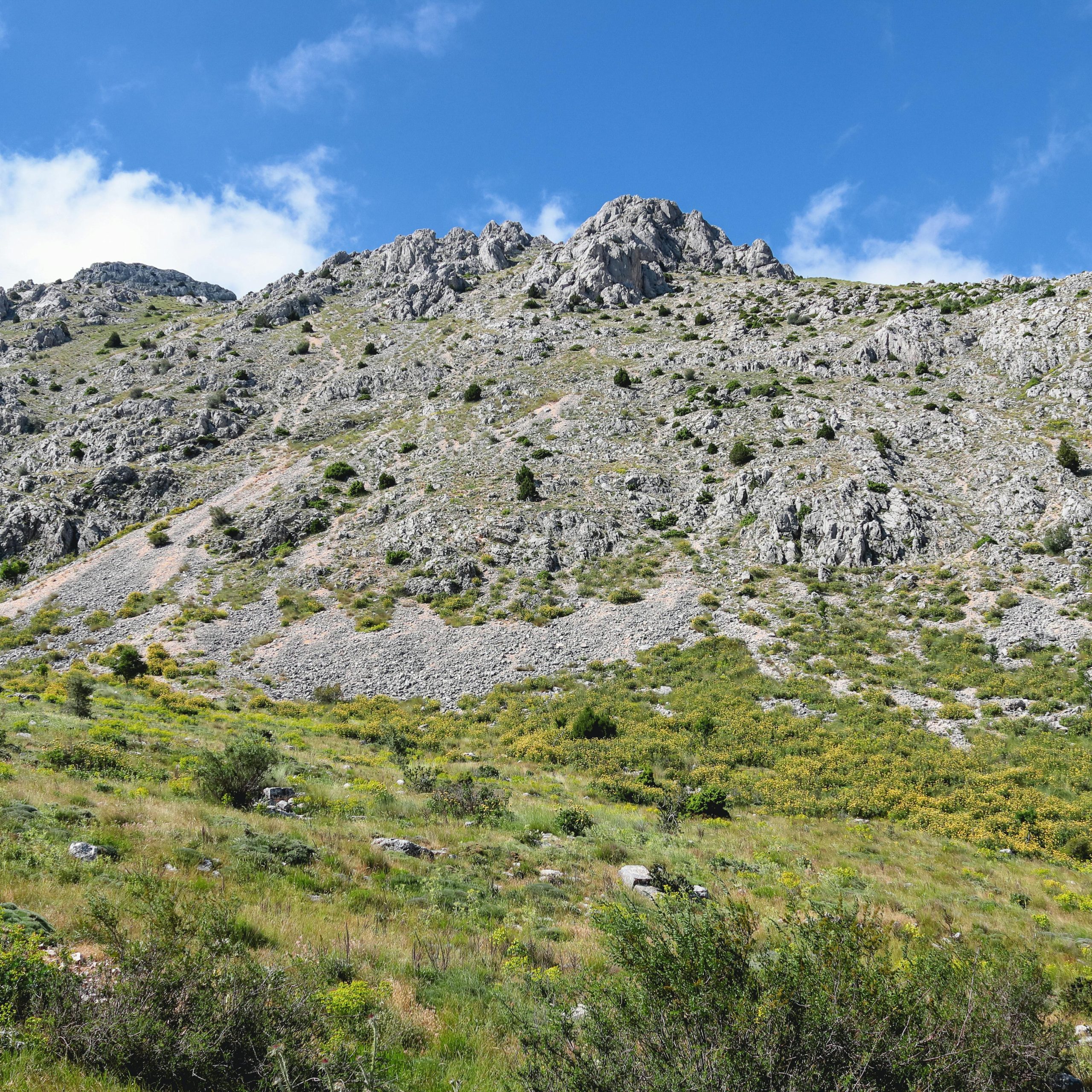 3 Days Mount Elgon national park tour