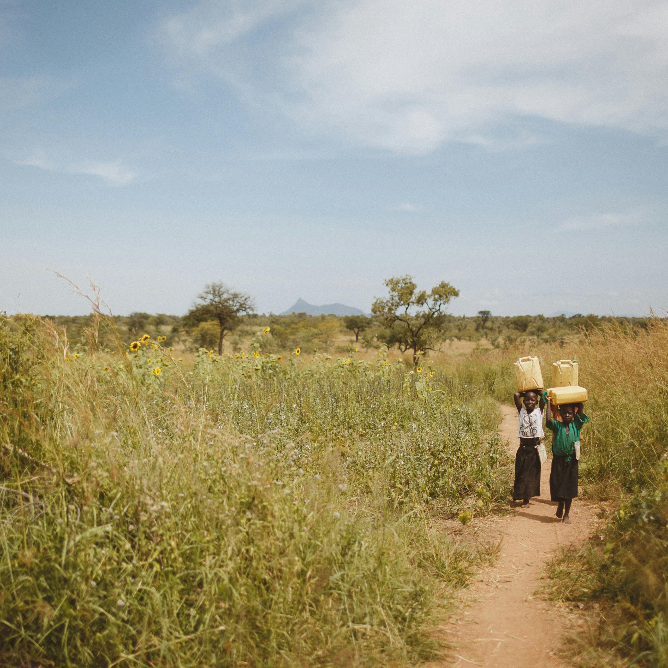 9 Days Uganda Rwanda & Congo Safari