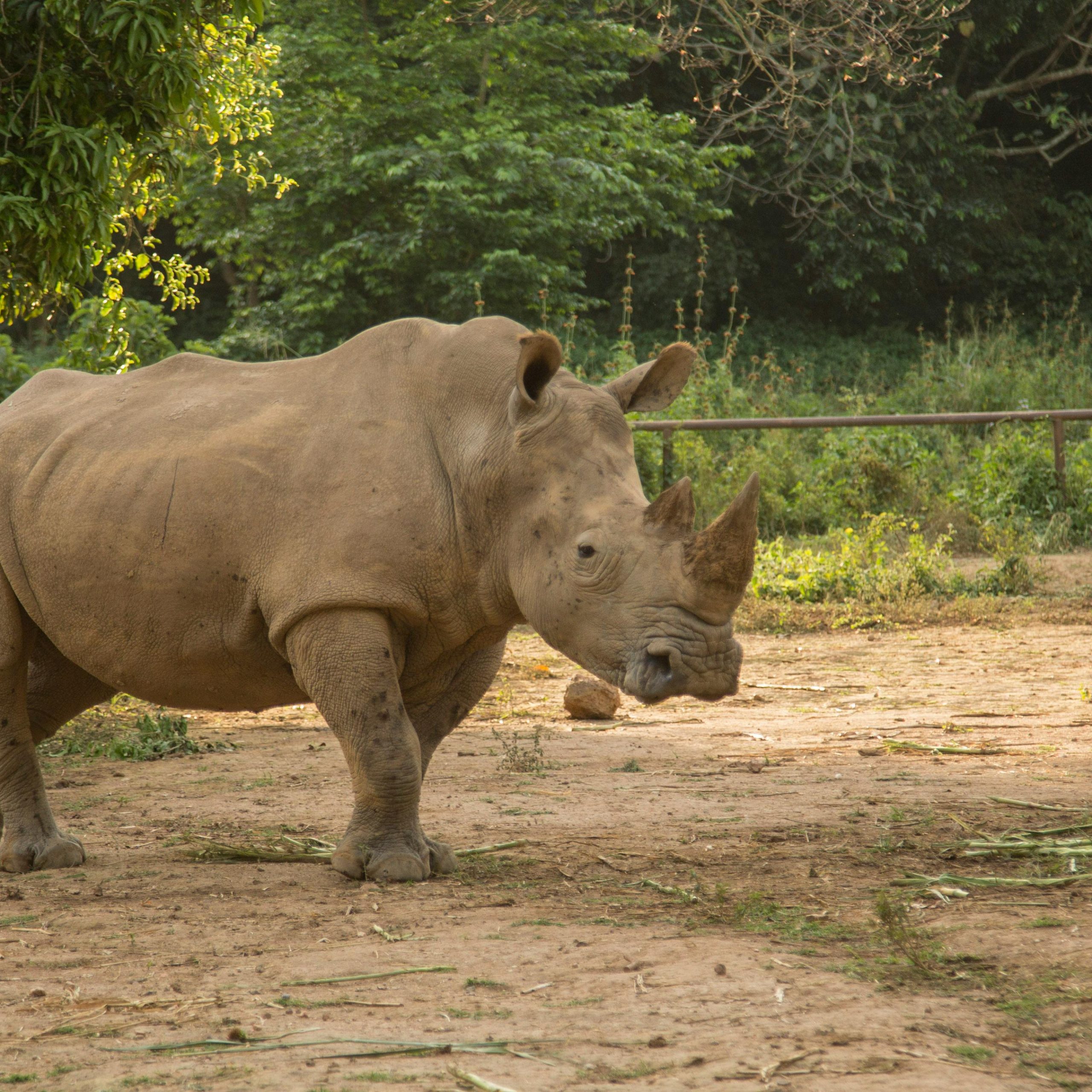 20 Days Discover Uganda