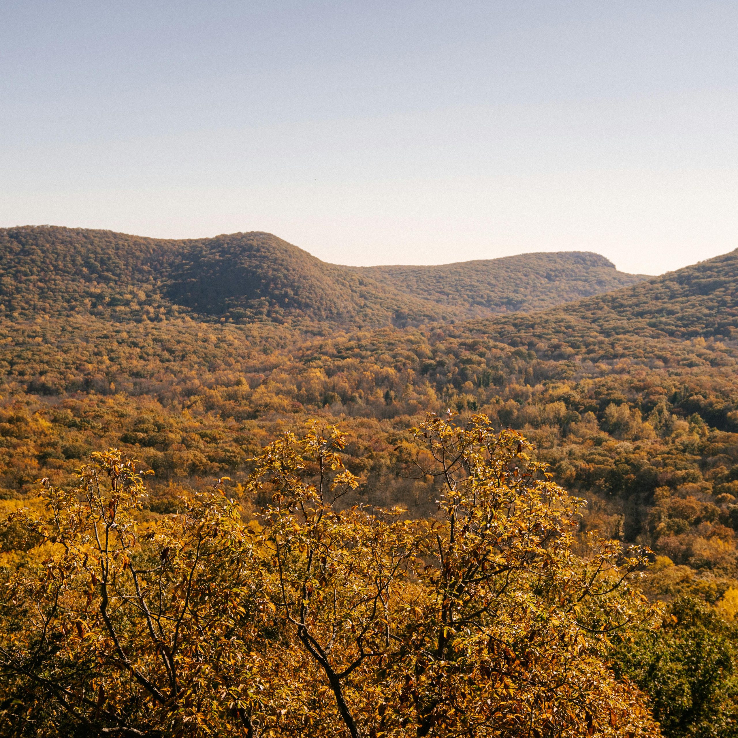 3 Days Mount Elgon national park tour