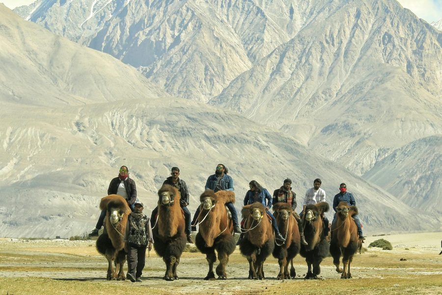 14 Days Uganda & Rwanda Safari, Gorilla Trekking, Wildlife & Culture