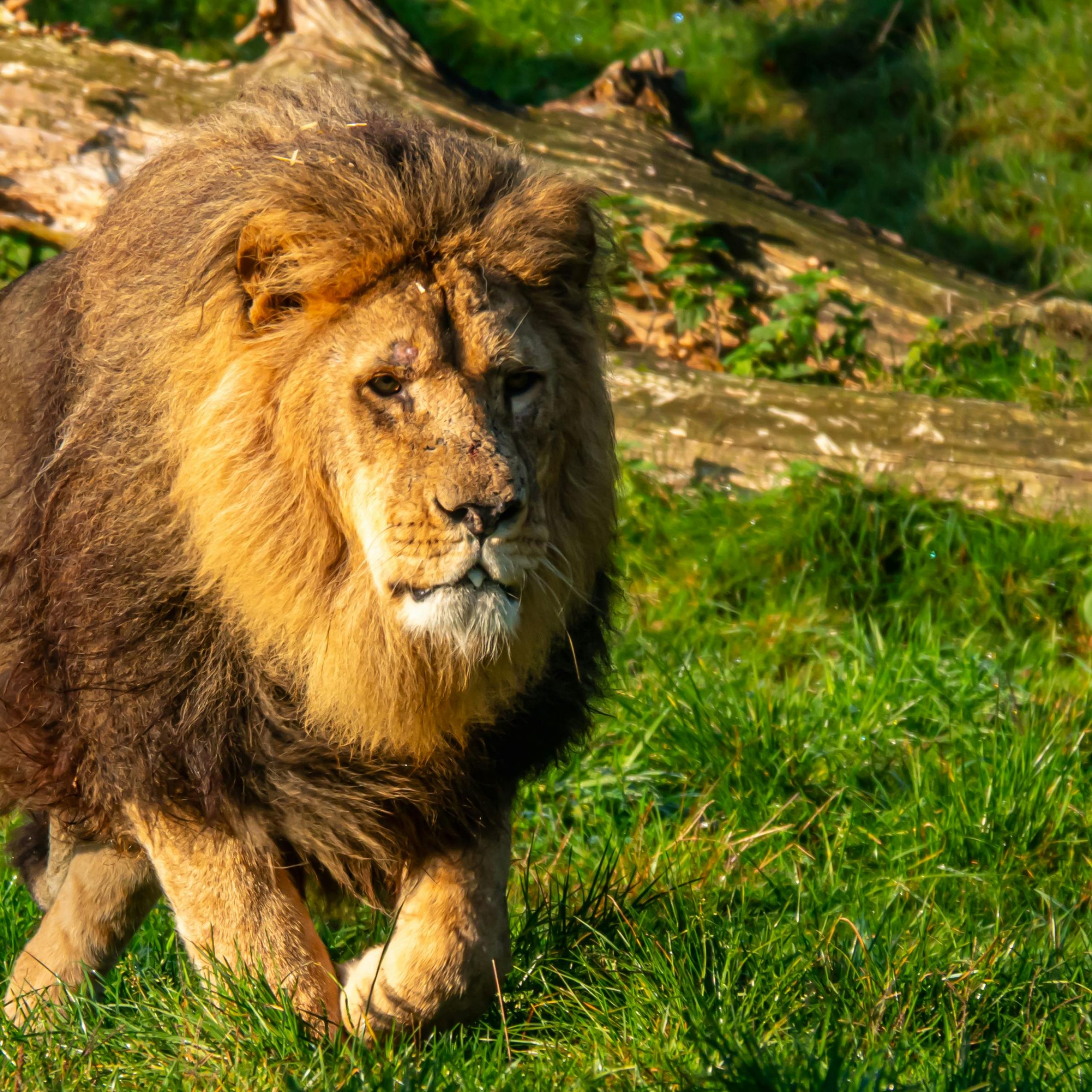 20 Days Discover Uganda