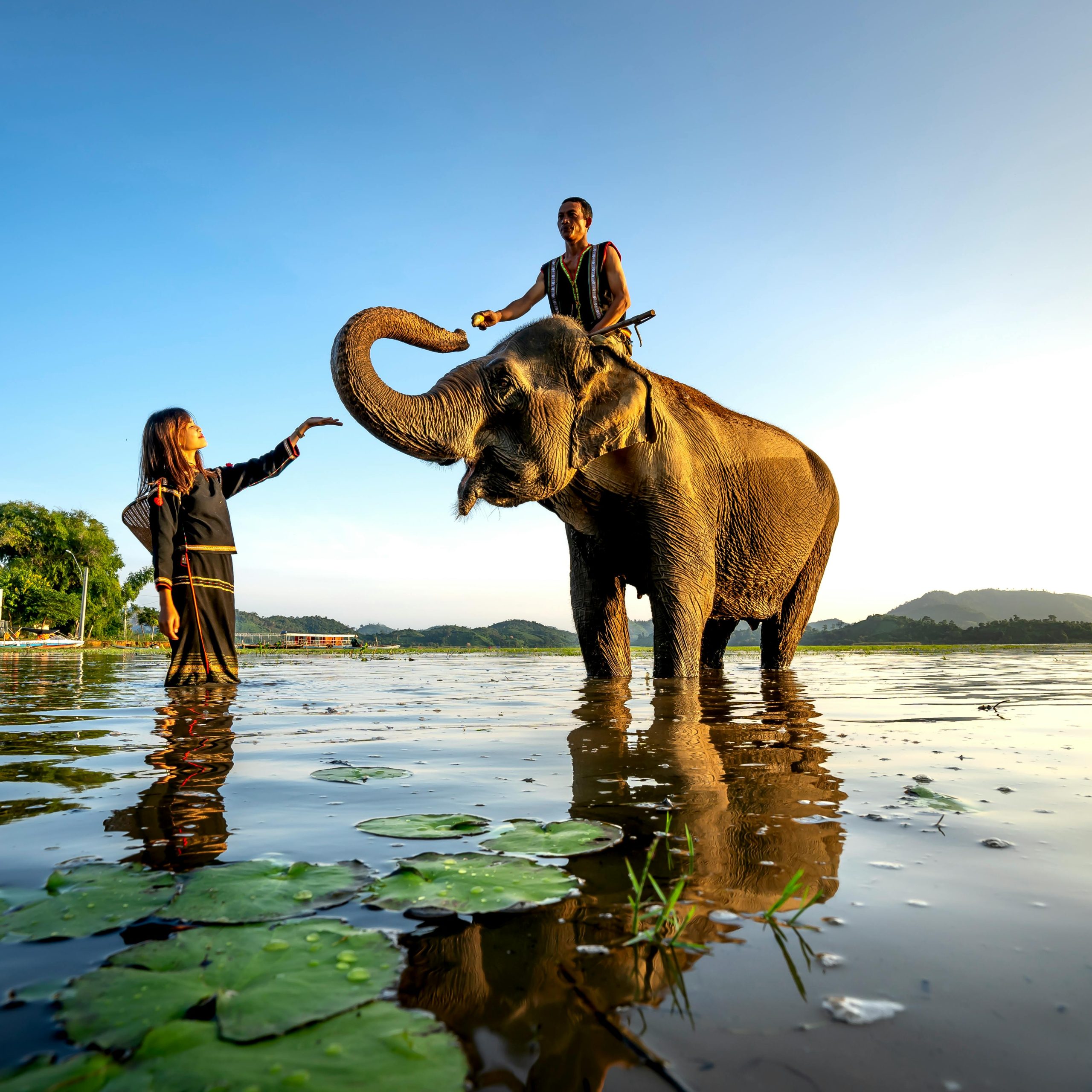 12 Days Uganda Rwanda Primates Wildlife & Cultural safari