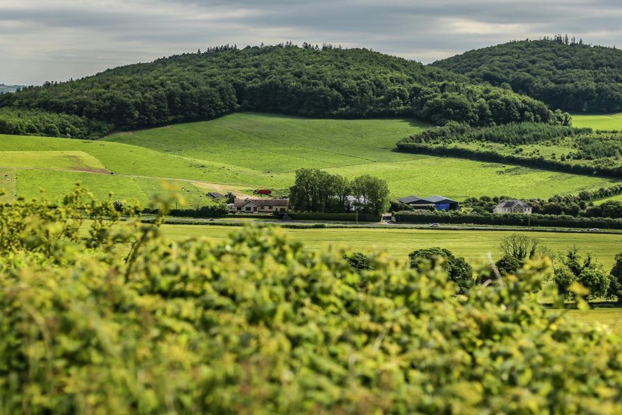 9 Days Uganda Rwanda & Congo Safari